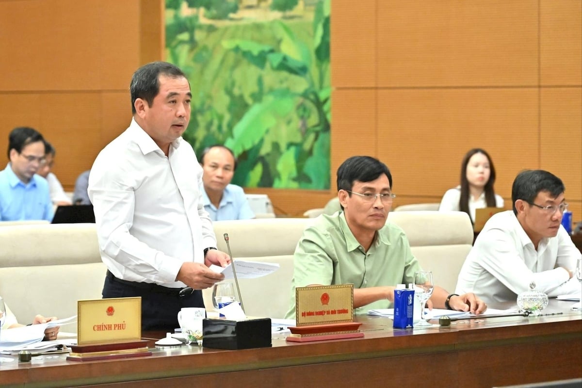 Quyền Bộ trưởng Bộ Nông nghiệp và Môi trường Trần Đức Thắng. Ảnh: Quang Khánh.