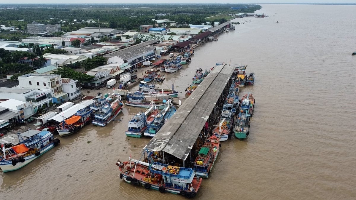 Ngành chuyên môn phải kiểm tra và xử lý việc thực hiện bốc dỡ sản phẩm thủy sản tại các điểm không được quy định. Ảnh: Kim Anh.