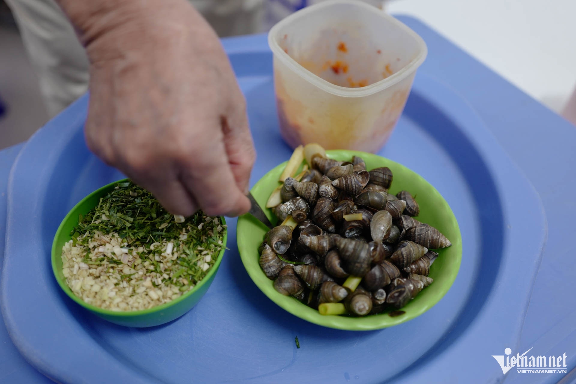 oc violin Ha Noi anh 10