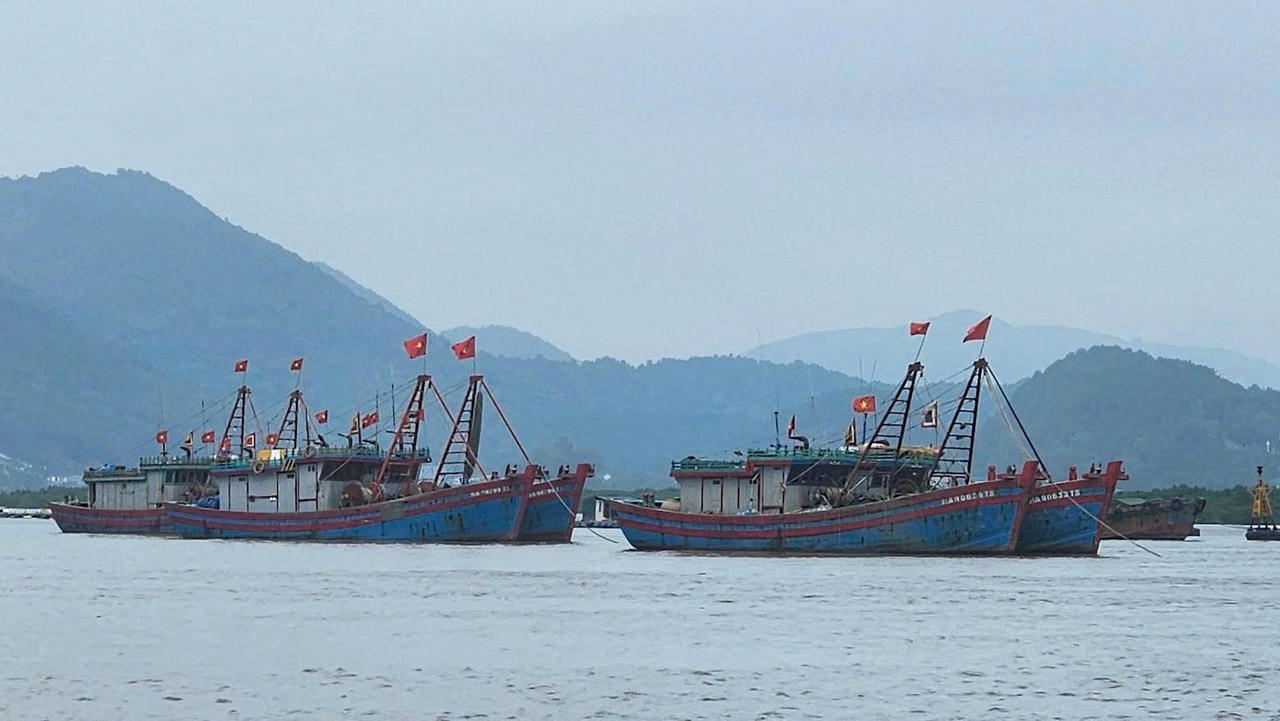 Nghệ An hiện có 2.630 tàu cá thuộc diện phải đăng ký; trong đó, 100% đã được cấp đăng ký và cập nhật lên hệ thống cơ sở dữ liệu Vnfishbase.