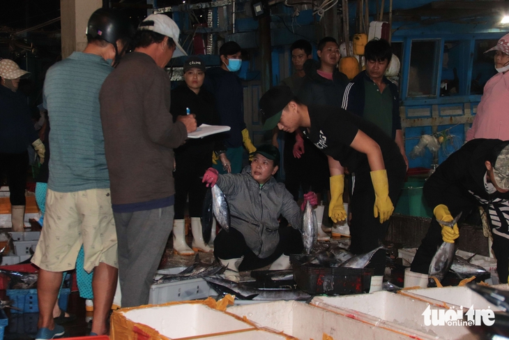 cảng cá - Ảnh 2.