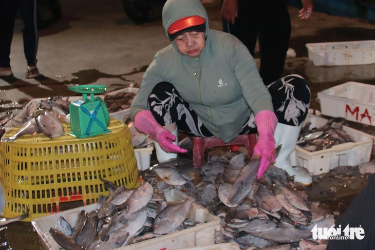 cảng cá - Ảnh 11.