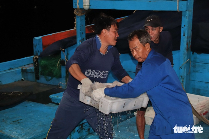 cảng cá - Ảnh 4.