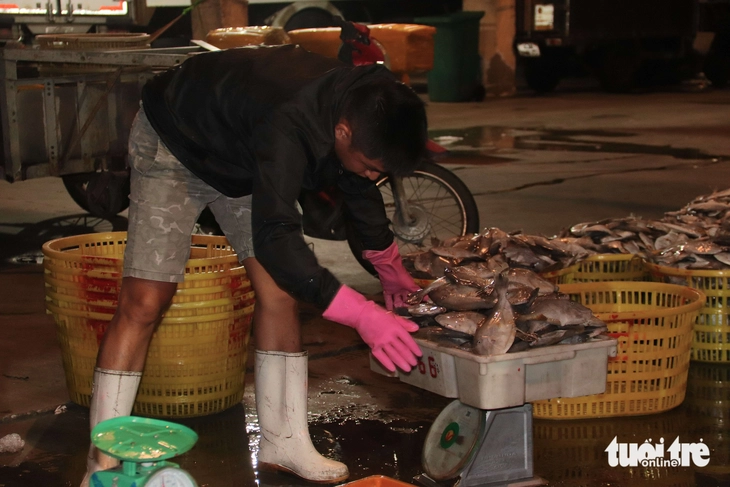 cảng cá - Ảnh 7.