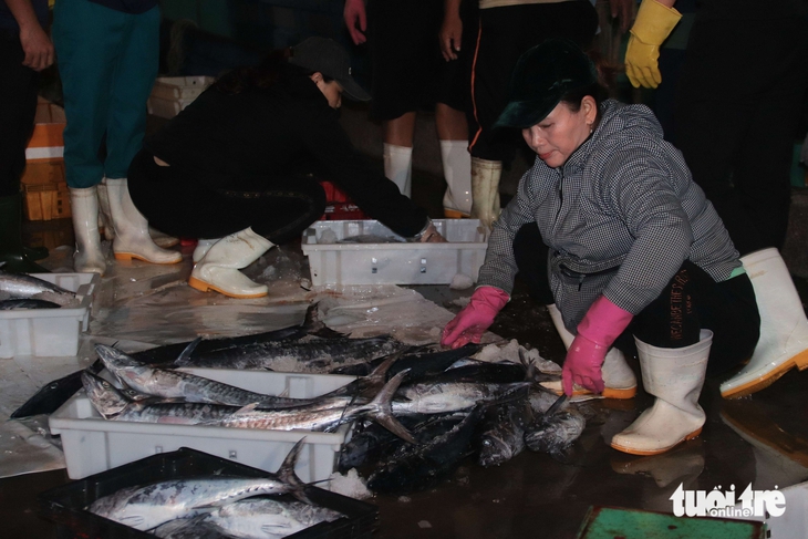 cảng cá - Ảnh 8.