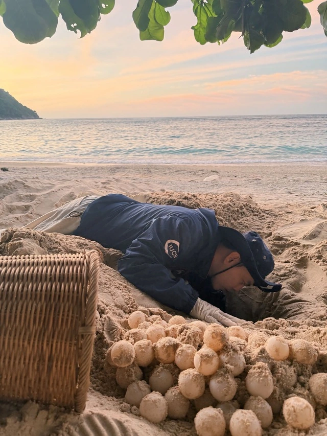 Hành trình bảo tồn rùa biển của chàng trai xứ nắng Tây Ninh - Ảnh 2.