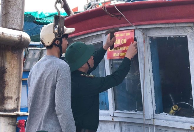 Lý Sơn niêm phong loạt tàu cá có nguy cơ vi phạm IUU
