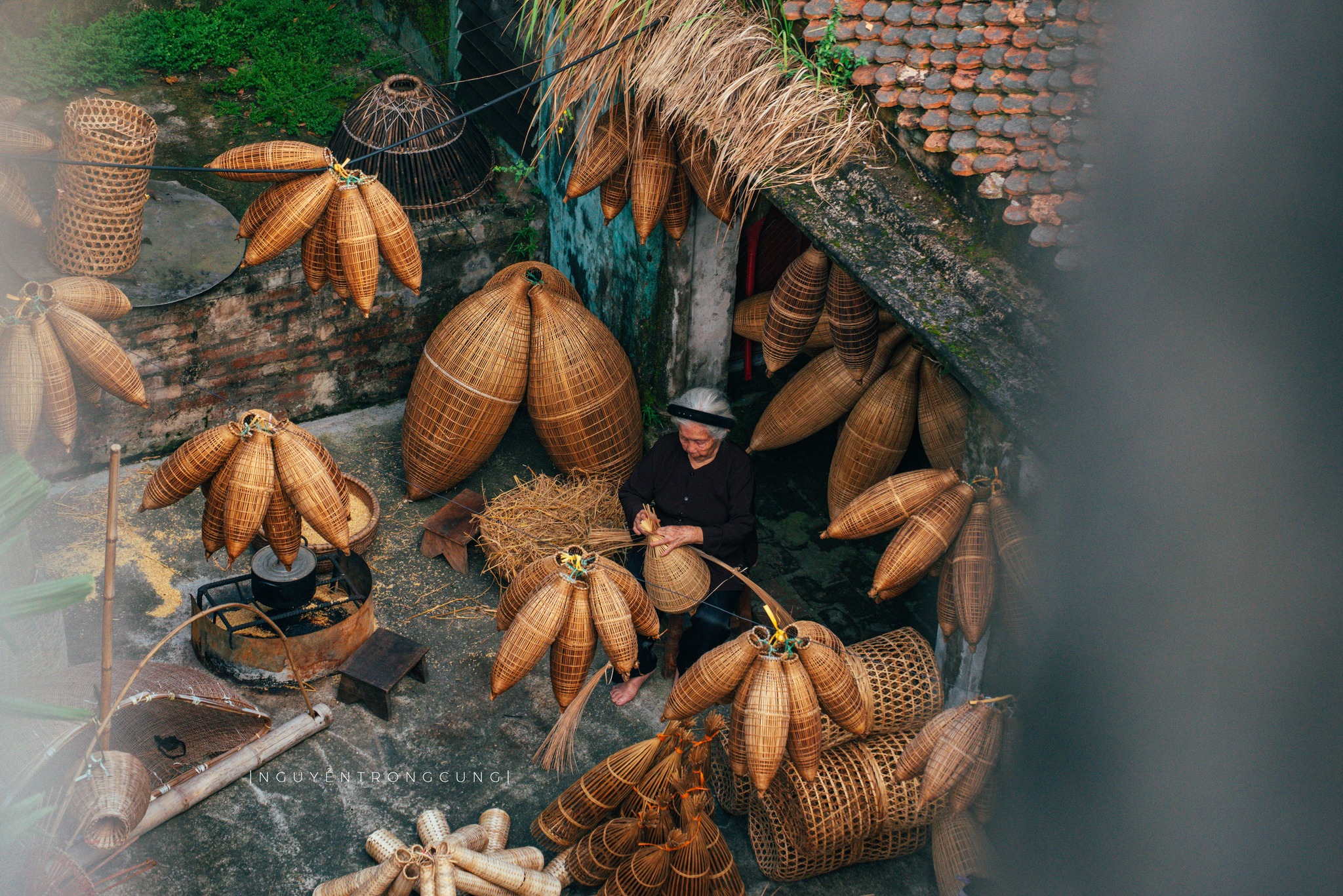 Ảnh: Nguyễn Trọng Cung