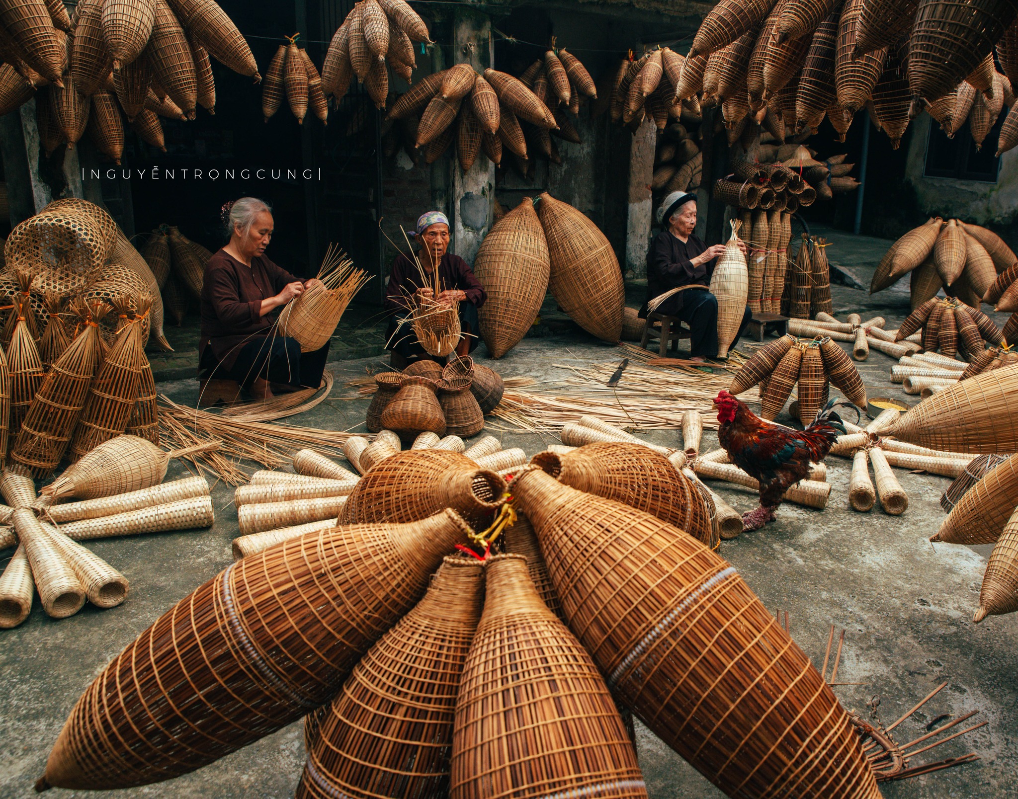 Ảnh: Nguyễn Trọng Cung