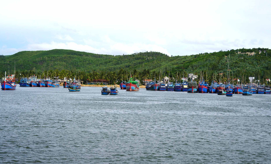 Một góc Cảng cá Tam Quan ngày sau bão. Ảnh: N.H