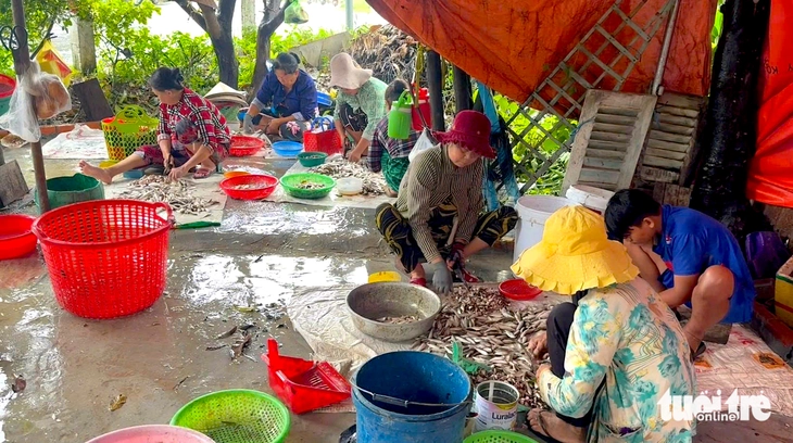 cá đồng - Ảnh 4.