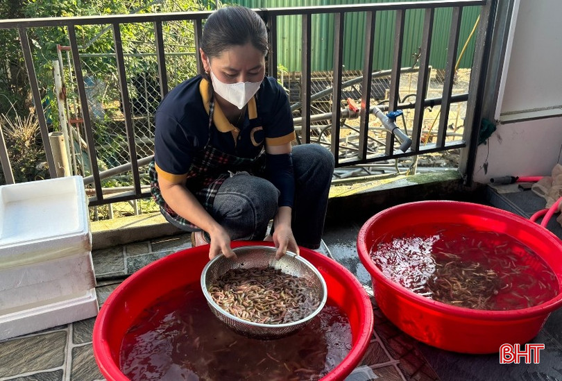 Sau khi thu mua, người dân sơ chế, làm sạch qua với nước.