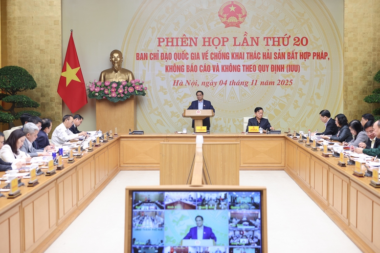 Thủ tướng: Gỡ thẻ vàng IUU của EC "phải làm bằng được và không thể kéo dài"- Ảnh 1.