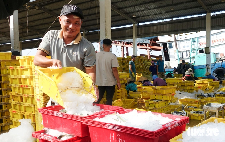 cảng cá - Ảnh 3.