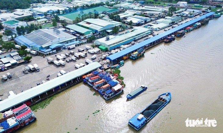 Vào mùa đánh bắt cao điểm, ngư dân nhộn nhịp cân cả trăm tấn cá biển ở cảng cá Tắc Cậu - Ảnh 8.