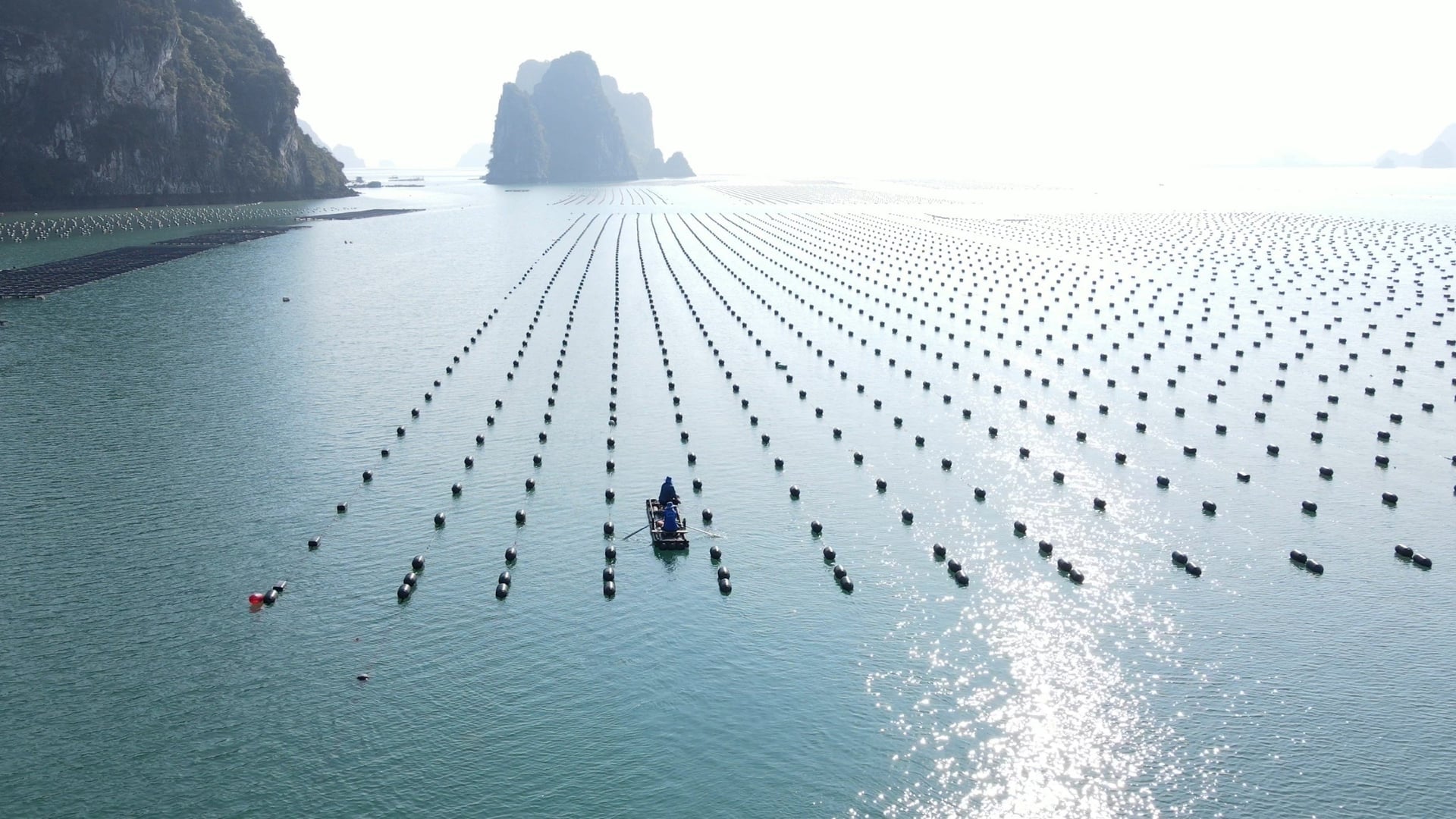 Nhập chú thích ảnh