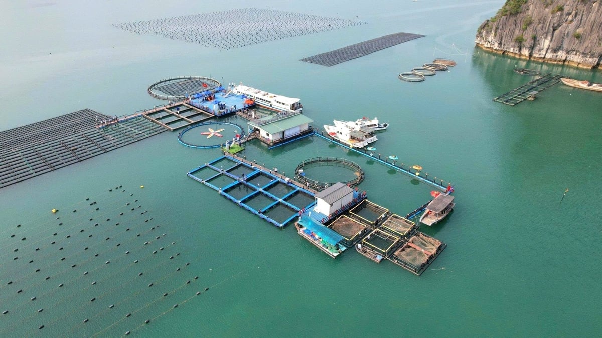 Nhập chú thích ảnh