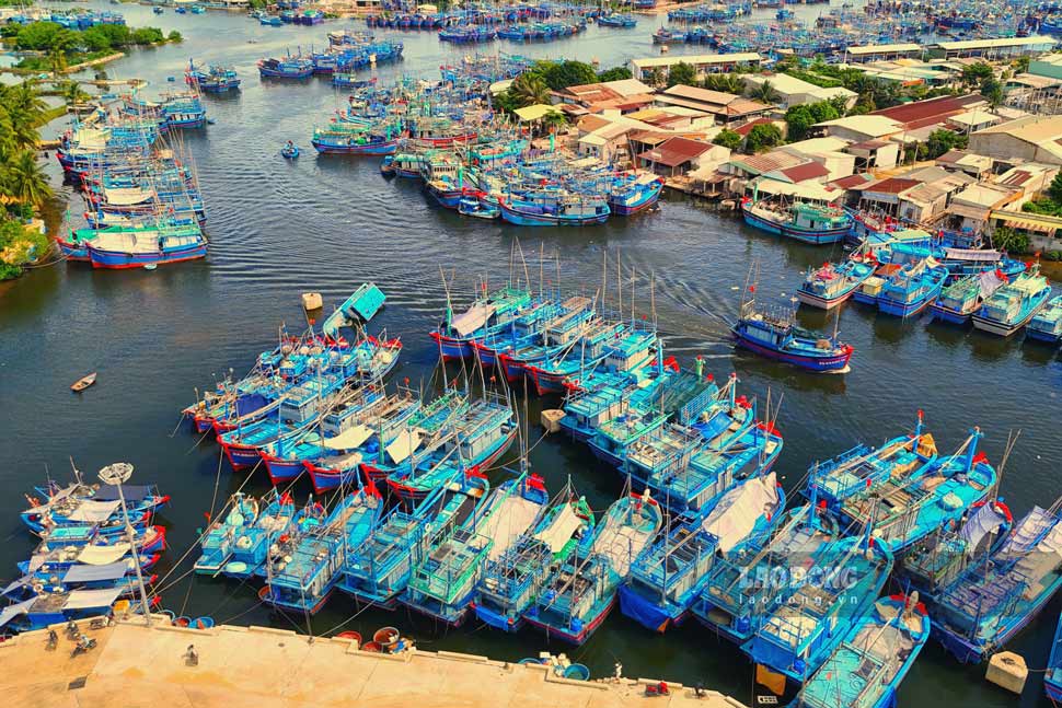 Gia Lai có đội tàu cá hùng hậu với gần 6.000 chiếc. Ảnh: Hoài Phương