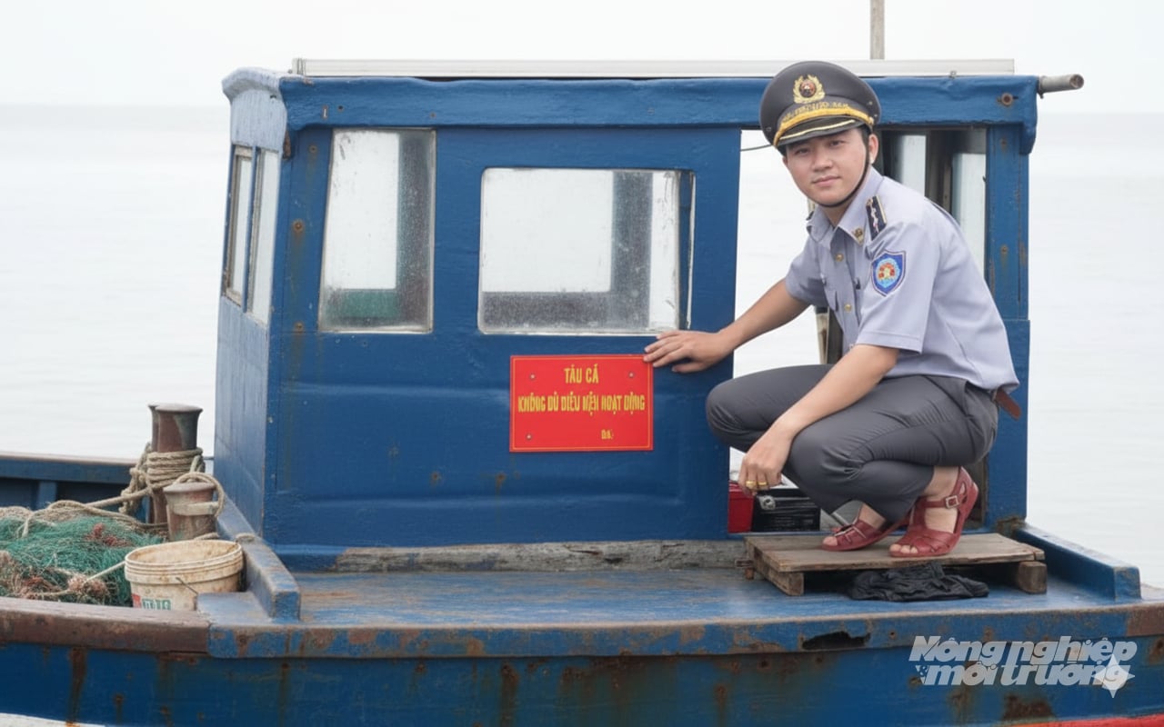 Những tàu cá cũ, hư hỏng, nằm bờ nhiều ngày sẽ phải gắn biển 'tàu cá không đủ điều kiện hoạt động' và phân công người giám sát. Ảnh: Trung Chánh.