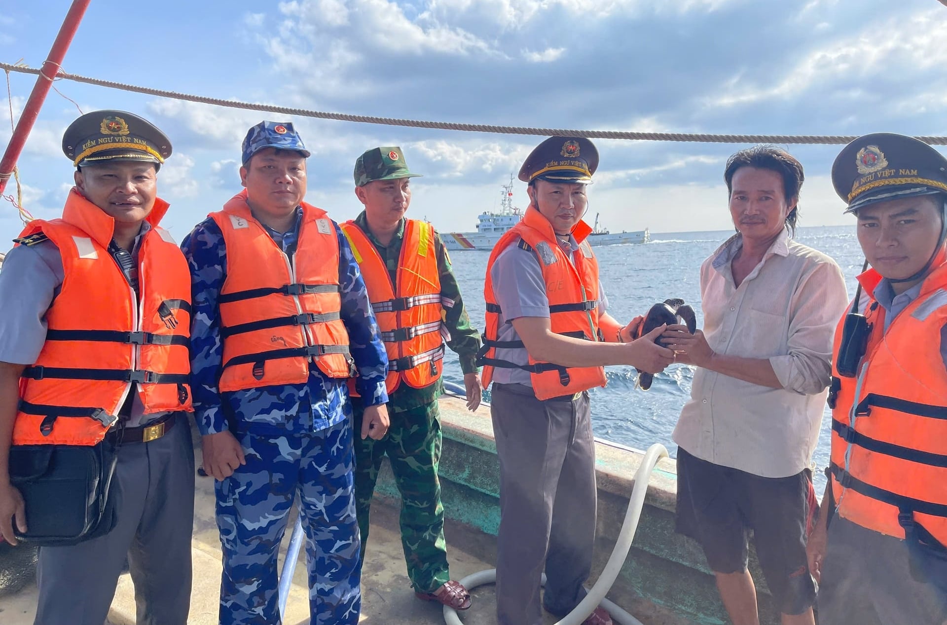  Đoàn công tác đã kịp thời tiếp cận thông tin và cứu hộ thành công một cá thể Rùa Xanh (Vích) nặng khoảng 5 kg bị mắc vào lưới về biển an toàn. Ảnh: Trọng Linh.