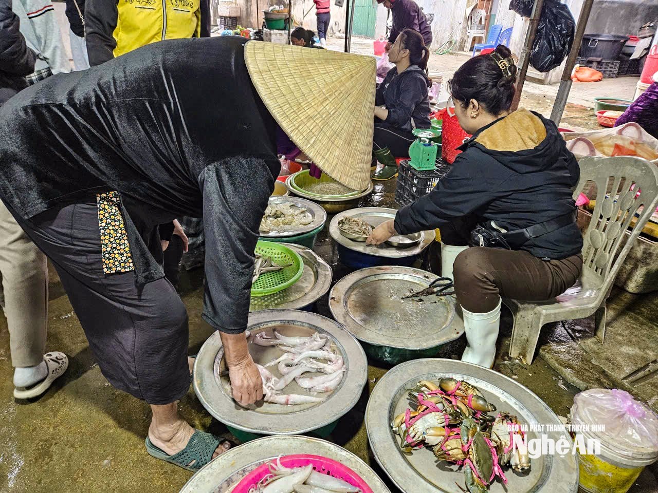 cá cháo7365984740225_886e748388ec7ae97bf55306c39fb008