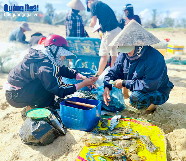 Báo và Phát thanh, Truyền hình Quảng Ngãi