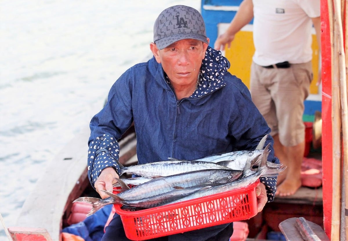 Công tác truy xuất nguồn gốc hải sản là một trong những nội dung Hà Tĩnh đang gặp khó. Ảnh: Thanh Nga.