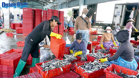 Báo và Phát thanh, Truyền hình Quảng Ngãi