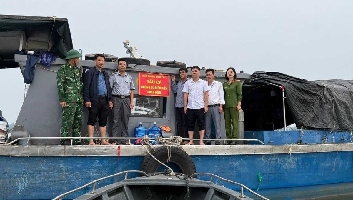 Các tàu cá không đủ điều kiện hoạt động được gắn biển. Ảnh: Thu Hiền. 