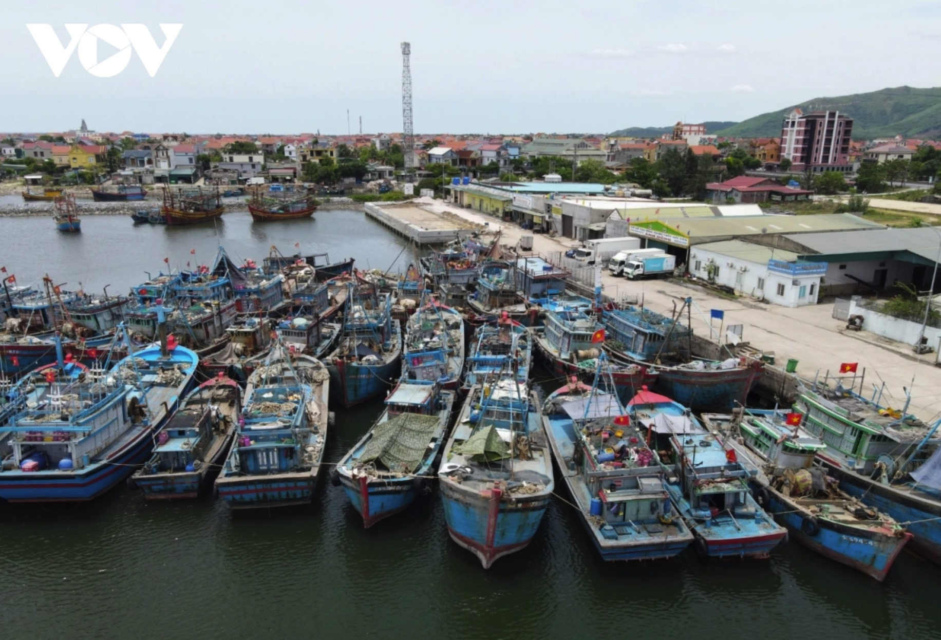 Ngư dân đưa tàu vào âu neo đậu và bán hải sản. 