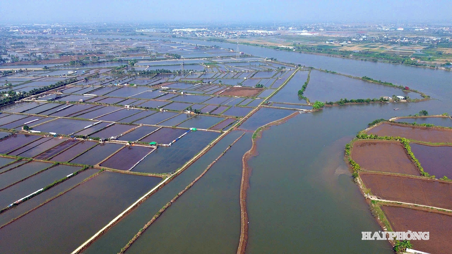 Vĩnh Thuận - vùng đất ven sông Luộc và sông Thái Bình hiền hòa, được thiên nhiên ưu đãi phù sa màu mỡ. Đã từ lâu vùng đất này nổi danh là miền rươi ngon, rươi quý của thành phố Hải Phòng.