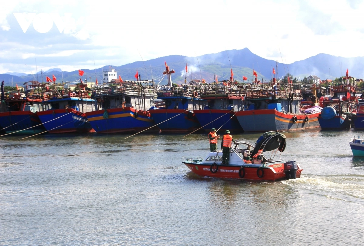 xây dựng phần mềm nhắc nhở ngư dân bổ sung giấy tờ cho tàu cá trước khi ra khơi hình ảnh 3 xay dung phan mem nhac nho ngu dan bo sung giay to cho tau ca truoc khi ra khoi hinh anh 3