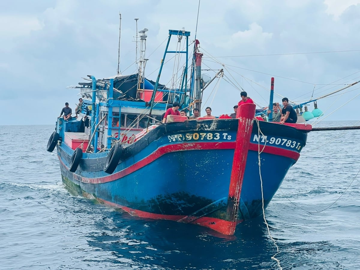 Các mô hình sinh kế thân thiện với môi trường như lưới ghẹ, bẫy ốc mực, câu kiều, lưới rê hỗn hợp được khuyến khích nhân rộng tại Cà Mau. Ảnh: Trọng Linh.