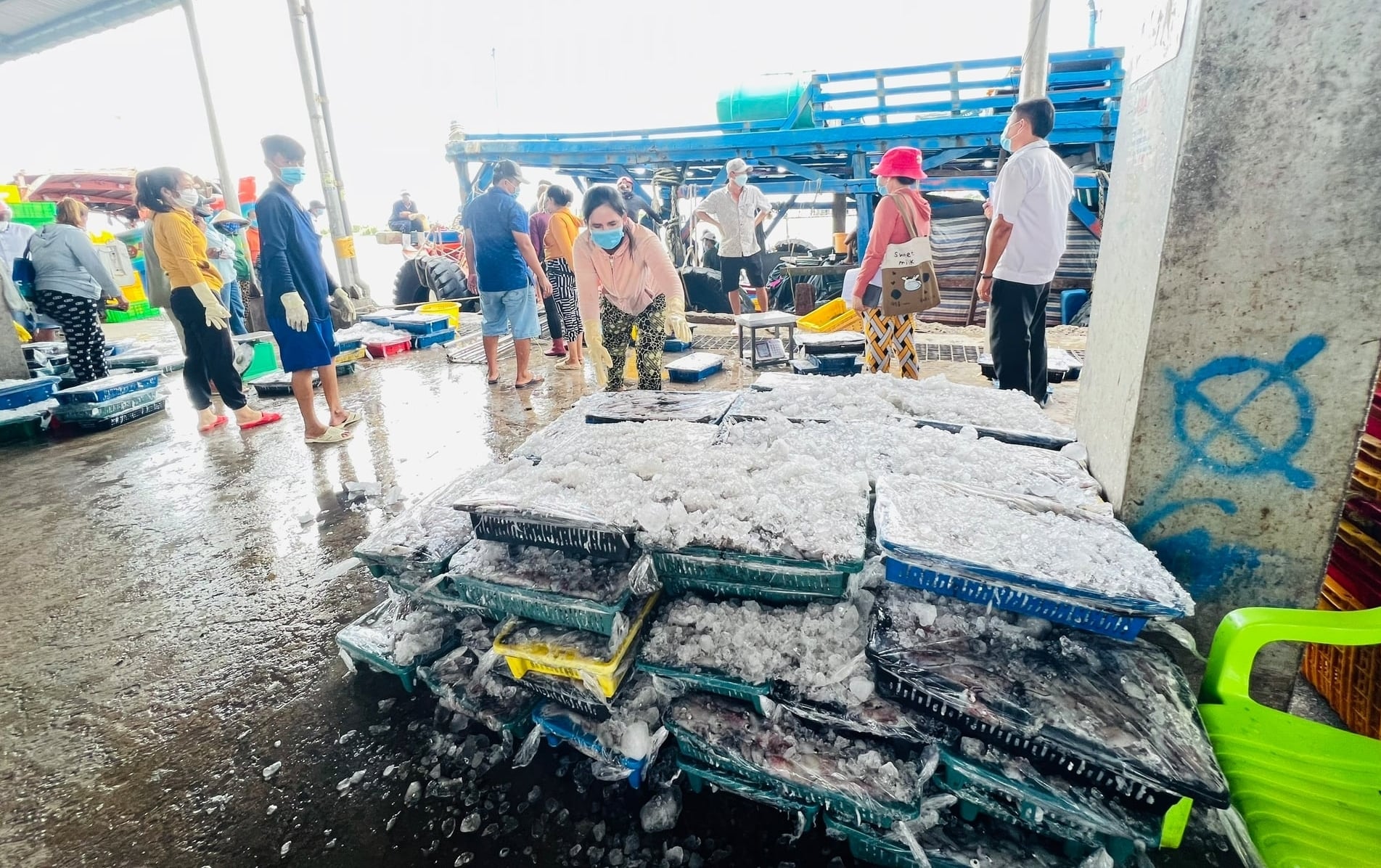 Khoảng 3.000 lao động nghề cá trên địa bàn tỉnh Cà Mau cần chuyển đổi sinh kế trong giai đoạn tới. Ảnh: Trọng Linh.