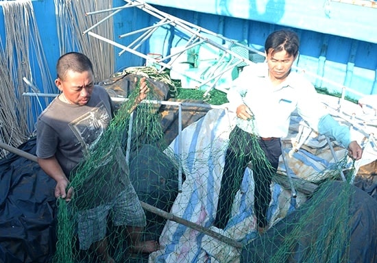 Lưới rê, nghề truyền thống của ngư dân trên địa bàn thành phố chịu ảnh hưởng lớn từ cấm nhập khẩu vào thị trường Mỹ. Ảnh: QUANG VIÊT