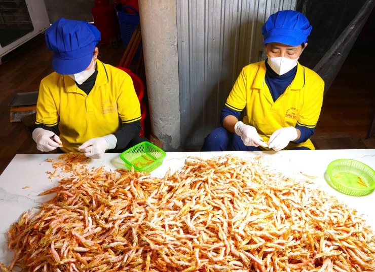 Nhân công sơ chế tôm để đóng gói. Ảnh: T.T