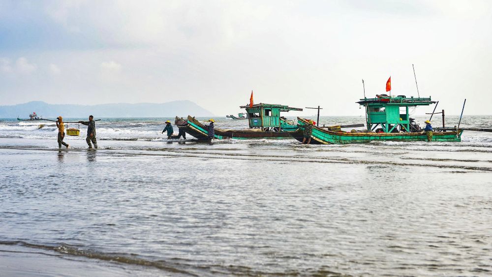 Cảnh những chiếc thuyền bè hối hả cập bến sau nhiều giờ đánh bắt trên biển. Ảnh: Quách Du