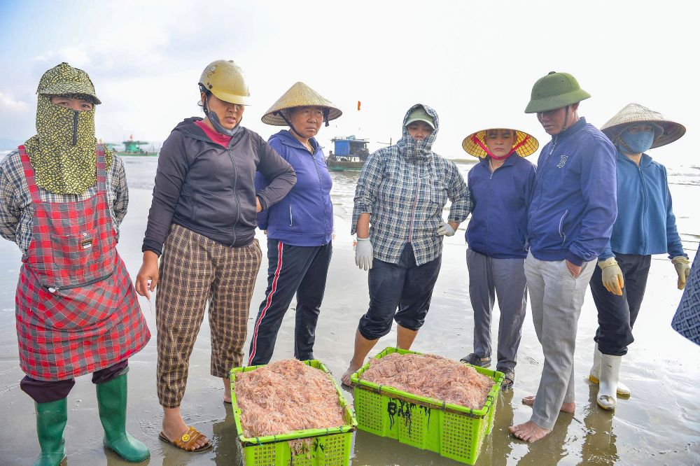 Trên bờ, các thương lái chờ sẵn, sẵn sàng thu mua hải sản ngư dân đánh bắt được. Ảnh: Quách Du