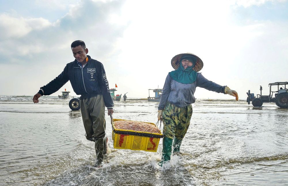 Ngư dân vùng biển xã Quảng Bình, tỉnh Thanh Hóa tất bật với công việc đánh bắt hải sản dịp đầu năm mới 2026. Ảnh: Quách Du