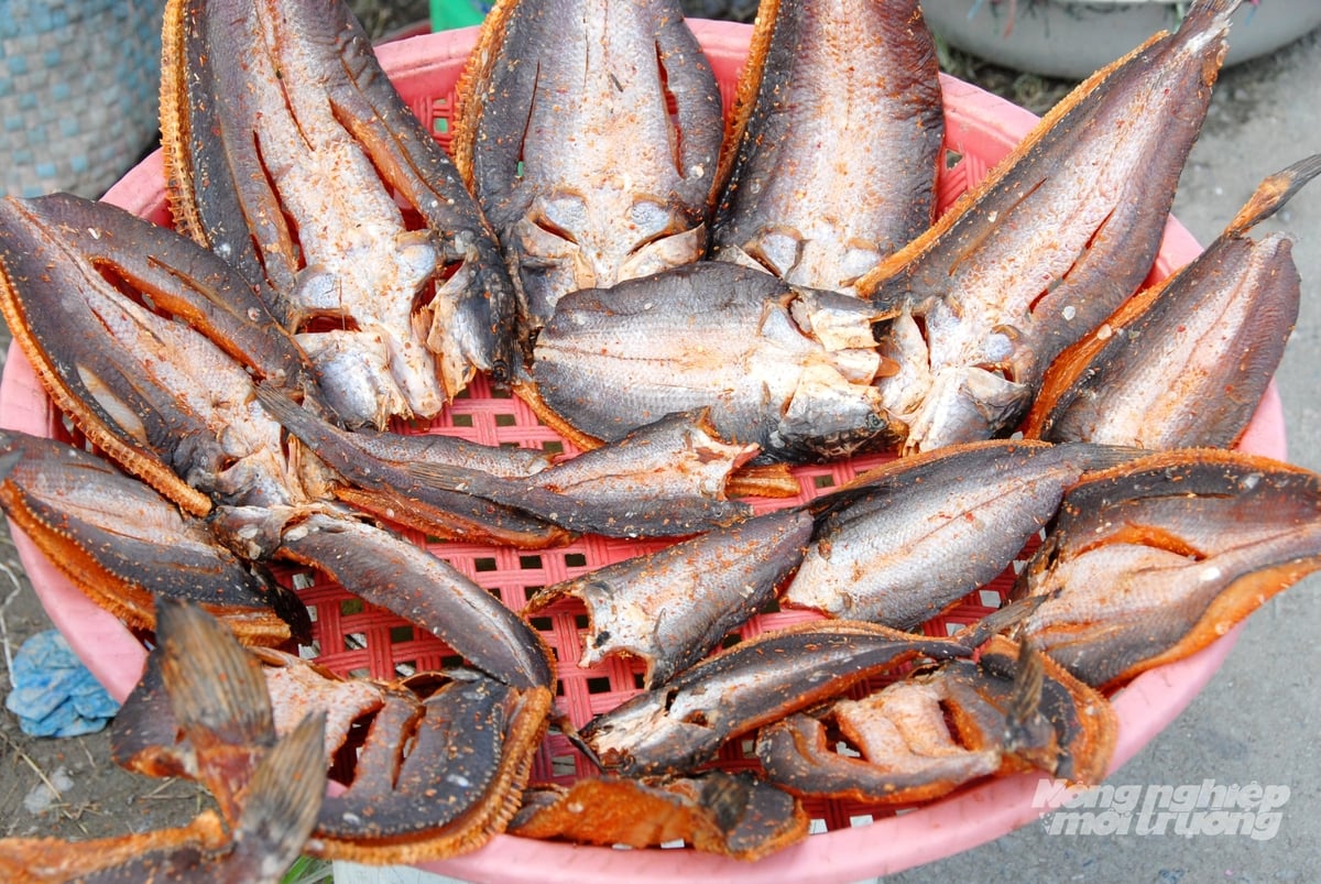 Những mẻ khô cá lóc, cá sặc được chế biến kỹ lưỡng, sẵn sàng đưa ra thị trường, góp phần mang hương vị tết miền Tây đến với người tiêu dùng. Ảnh: Lê Hoàng Vũ.