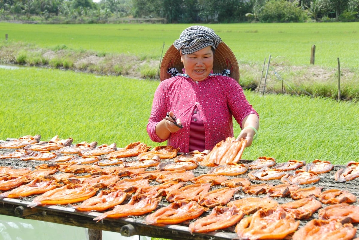 Người dân làng nghề khô Phú Thọ (Đồng Tháp) tất bật phơi cá dưới nắng, bước vào cao điểm sản xuất phục vụ thị trường Tết Nguyên đán. Ảnh: Lê Hoàng Vũ.