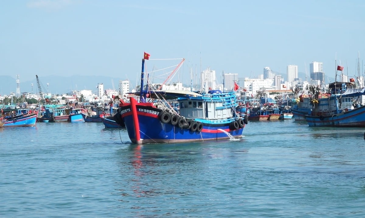Khánh Hòa đã cấp phép khai thác thủy sản cho 5.127 tàu cá, lắp đặt thiết bị giám sát hành trình cho 1.493 tàu cá có chiều dài từ 15m trở lên. Ảnh: PC.