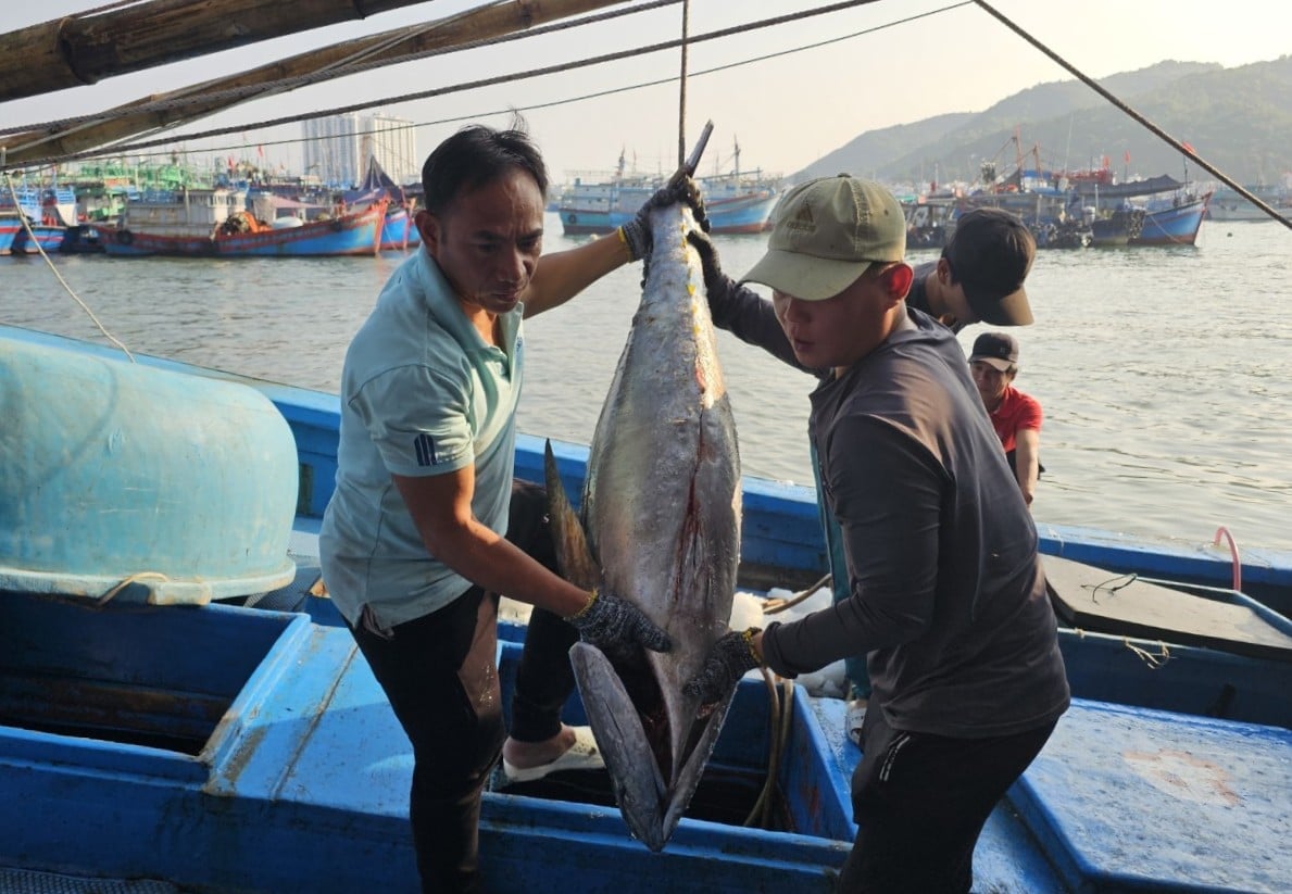 Ngư dân Khánh Hòa phấn khởi khi được hỗ trợ cước thuê bao duy trì hoạt động hệ thống giám sát hành trình VMS cho tàu cá của mình. Ảnh: PC.