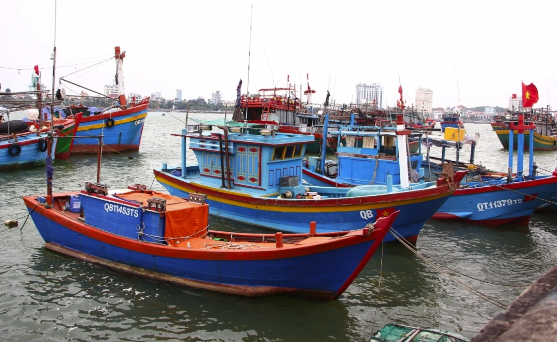 100% tàu cá từ 6m trở lên tại tỉnh Quảng Trị đã được đăng ký