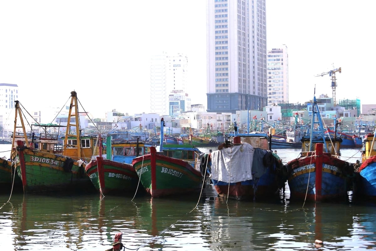 Những tàu cá không đủ điều kiện hoạt động không được ra khơi đánh bắt. Ảnh: V.Đ.T.