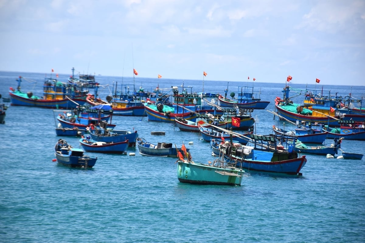 Nhiều tàu cá của ngư dân phường Quy Nhơn Đông sử dụng đã lâu năm đều đăng ký giải bản, bởi chi phí đầu tư thêm thiết bị để đáp ứng quy định hiện hành khá lớn. Ảnh: V.Đ.T.