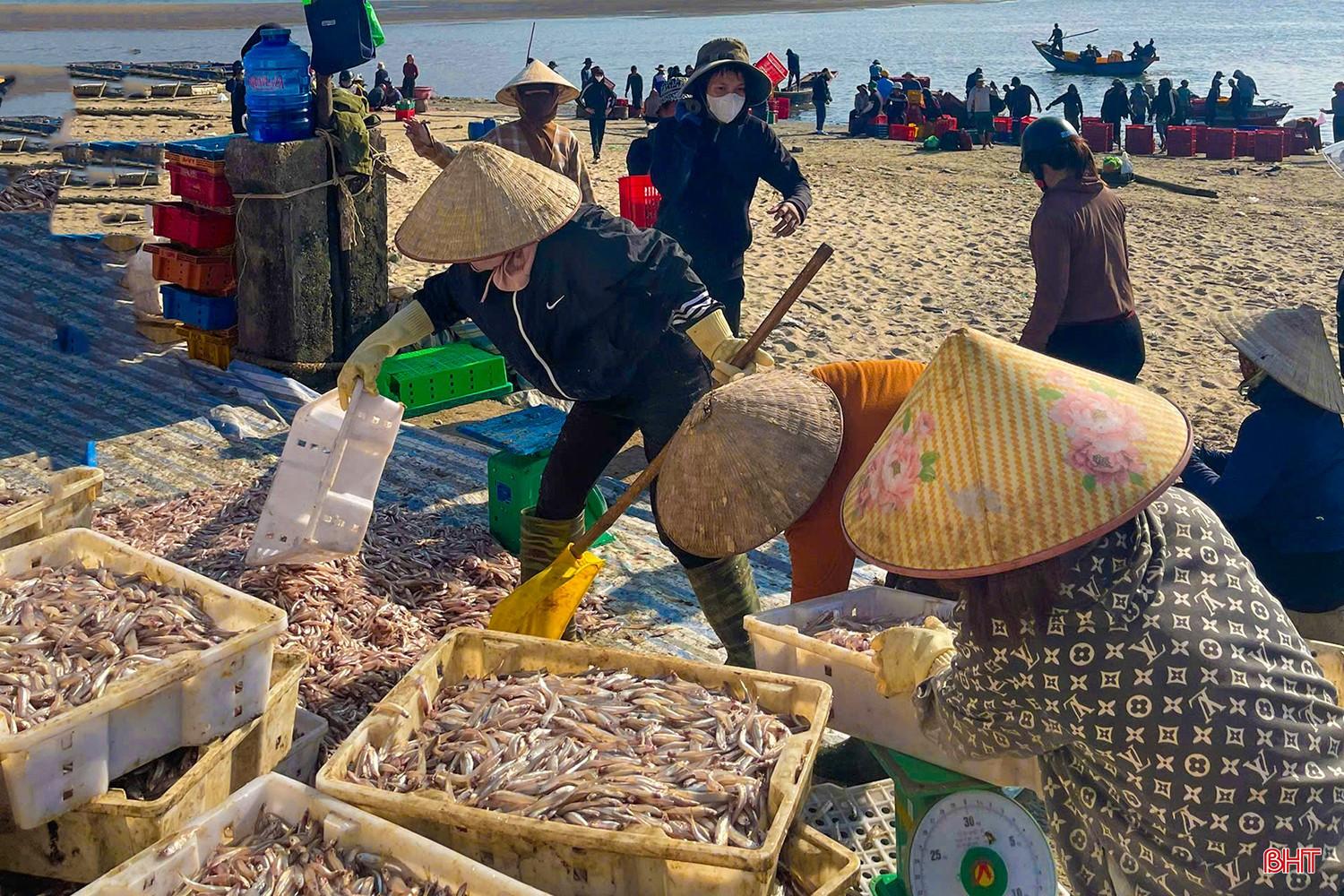 Đón đợi những mẻ cá tươi rói ấy là những người làm nghề chế biến nước mắm. Chị Đặng Thị Luận - Giám đốc HTX thu mua và chế biến thuỷ hải sản Chiến Thắng chia sẻ kinh nghiệm dân gian: "Mùa hè cá sông, mùa đông cá biển. Đây là thời điểm cá cơm ngon nhất, béo nhất để làm mắm. Mỗi năm cơ sở tôi thu mua hàng trăm tấn nguyên liệu phục vụ sản xuất của HTX". bqbht_br_z7437890045004-6d2db879c4f6314cdc2e28efd22059e3.jpg