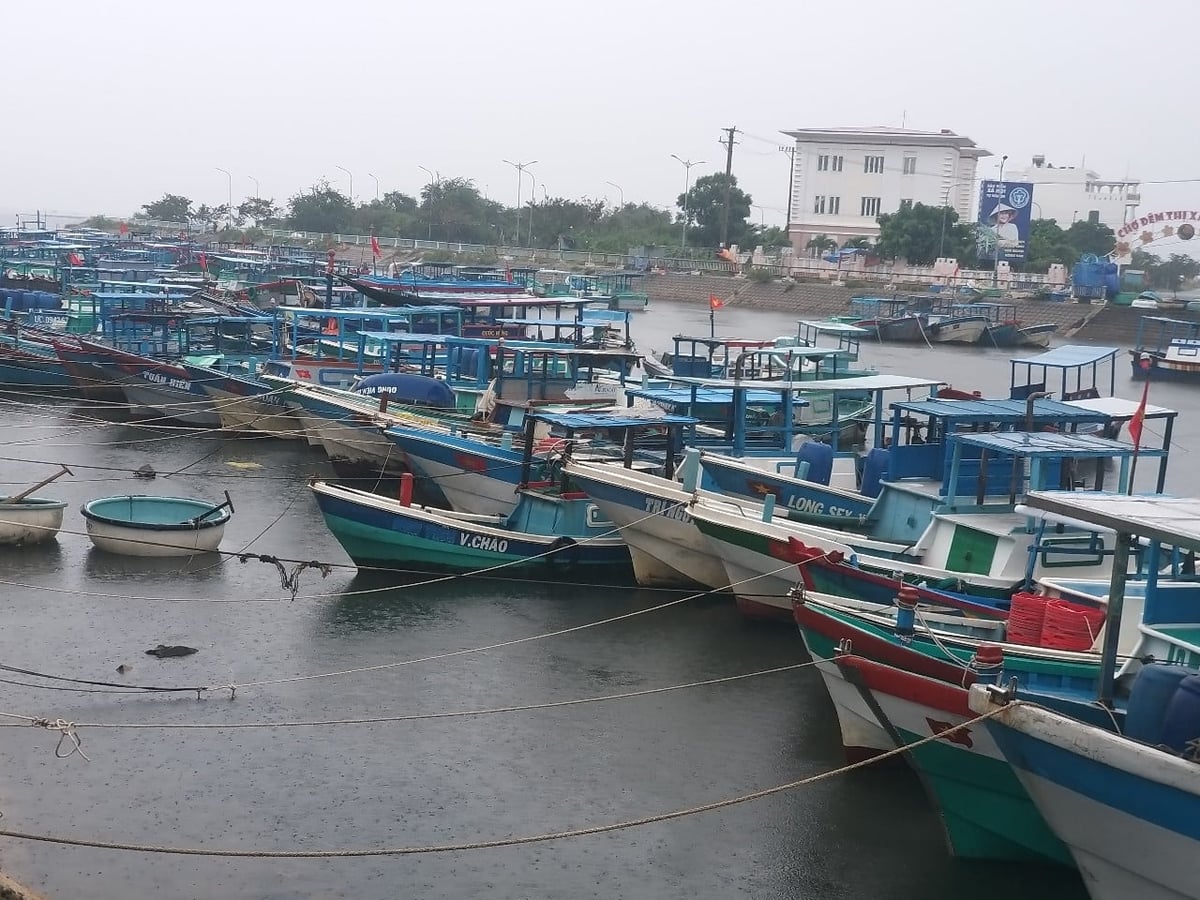 Tỉnh Đắk Lắk khuyến khích phát triển tàu cá hiện đại, công suất lớn và khai thác theo hướng thân thiện với nguồn lợi thủy sản. Ảnh: Trần Thọ.