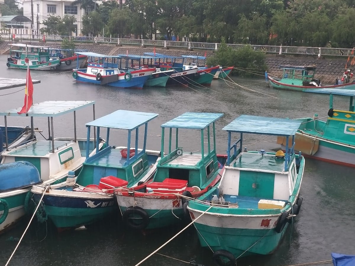 Tỉnh Đắk Lắk chủ trương giảm dần tàu cá có chiều dài dưới 15m, góp phần phát triển nghề cá bền vững. Ảnh: Trần Thọ.