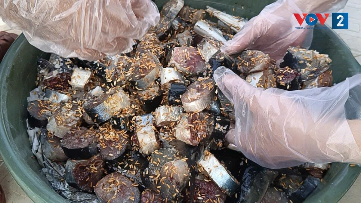 kỳ công ủ nước mắm và trồng rau trên nhà giàn dk1 hình ảnh 2 ky cong u nuoc mam va trong rau tren nha gian dk1 hinh anh 2